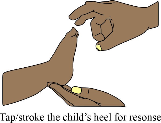 For Infants (Birth to 1 year) and Children (1 to 8 years)