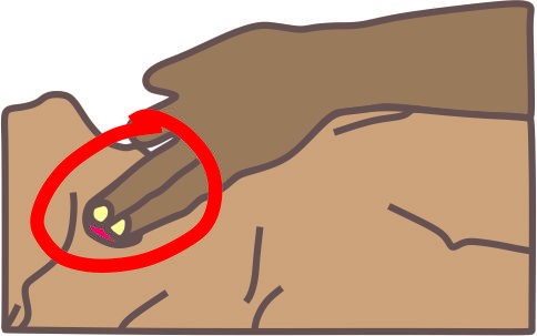 C.	Circulation