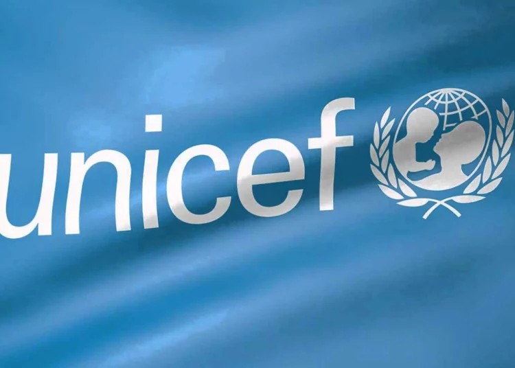 UNICEF Names Gombe Best In North-East Primary Healthcare