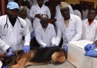 FCTA warns vets against charging for rabies vaccination