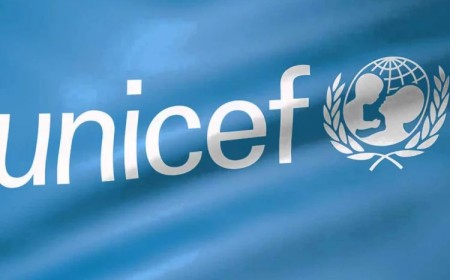 UNICEF Names Gombe Best In North-East Primary Healthcare