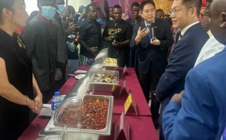 Nigeria, China Use Food Festival To Deepen Cultural, Tourism Ties