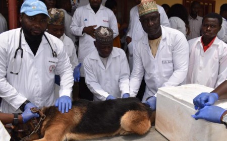 FCTA warns vets against charging for rabies vaccination