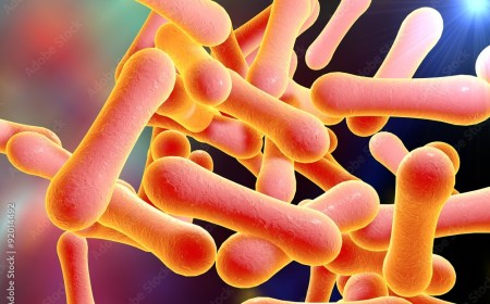 Plateau shuts schools indefinitely over suspected Diphtheria cases