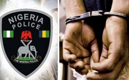 Moniepoint loan officer arrested over alleged ₦74m fraud in Yobe