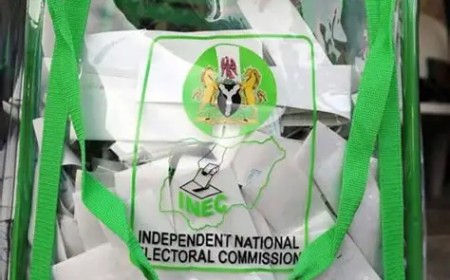 INEC guidelines: Necessary reform or incomplete solution?
