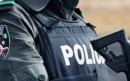 Police arrest suspect after armed clash in Bauchi