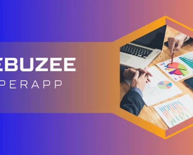 Bebuzee CEO unveils super app to empower African youths, creatives